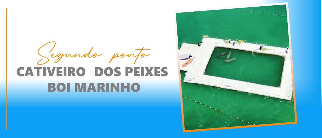 Passeios Praia de Peroba -  Icapuí (4).jpg