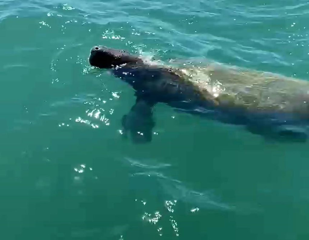 Passeios Praia da Peroba - Passeios Icapuí (20).JPG