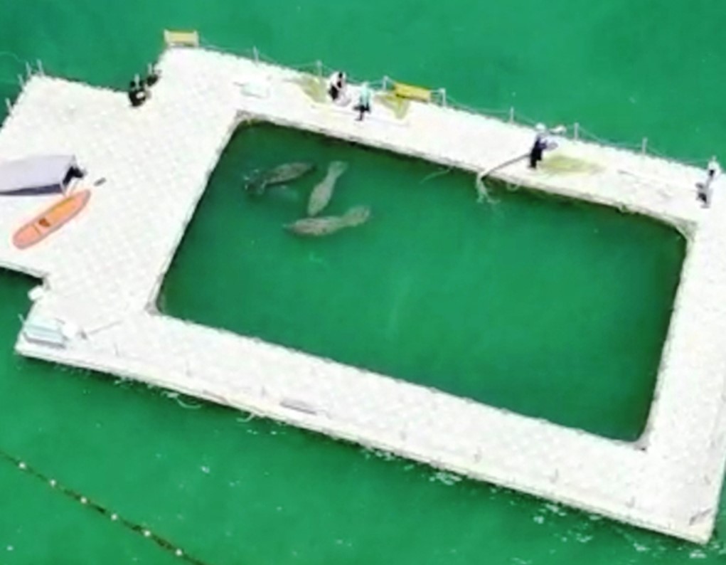 Passeios Praia da Peroba - Passeios Icapuí (5).JPG