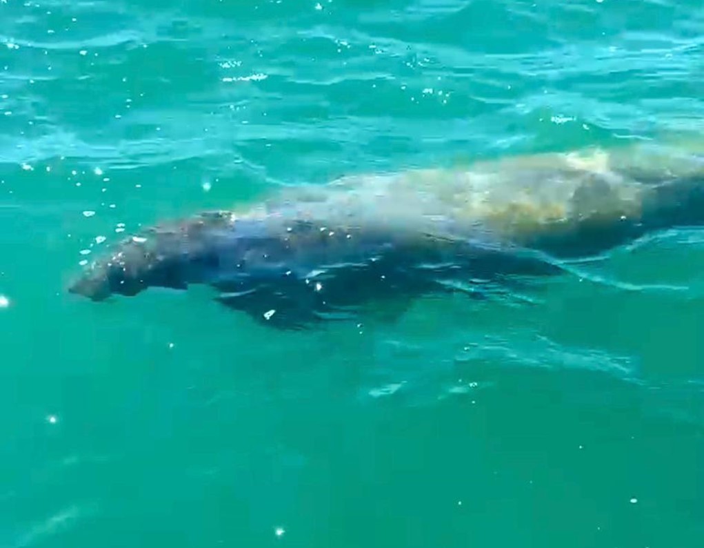 Passeios Praia da Peroba - Passeios Icapuí (1).JPG